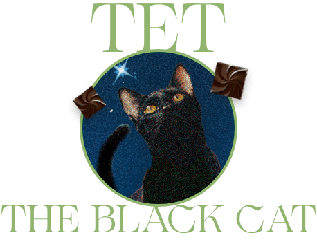 TET THE BLACK CAT